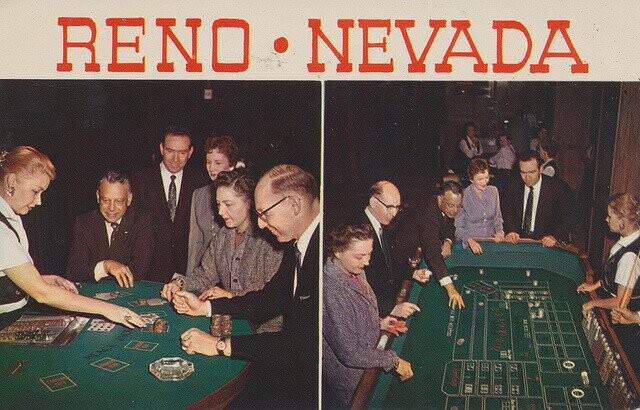 RENO NEVADA as BUNA LIMITED DRY adidas