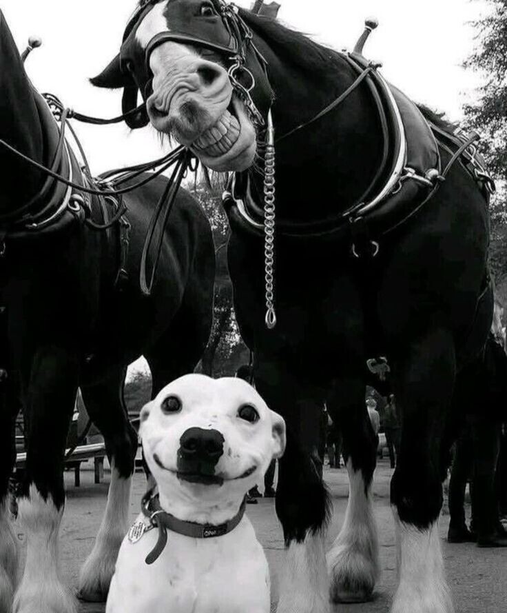 20 Photos Where Common Sense Was Left for Dead