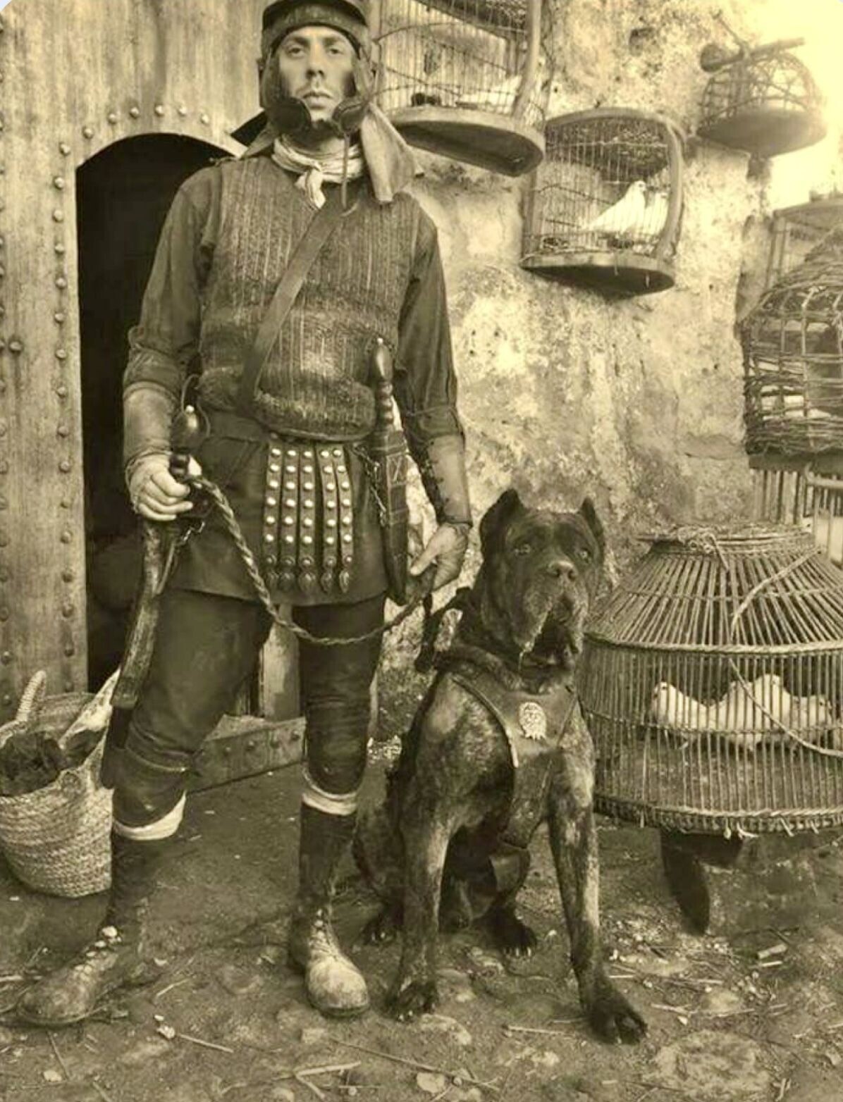 20 Photos Where Common Sense Was Left for Dead