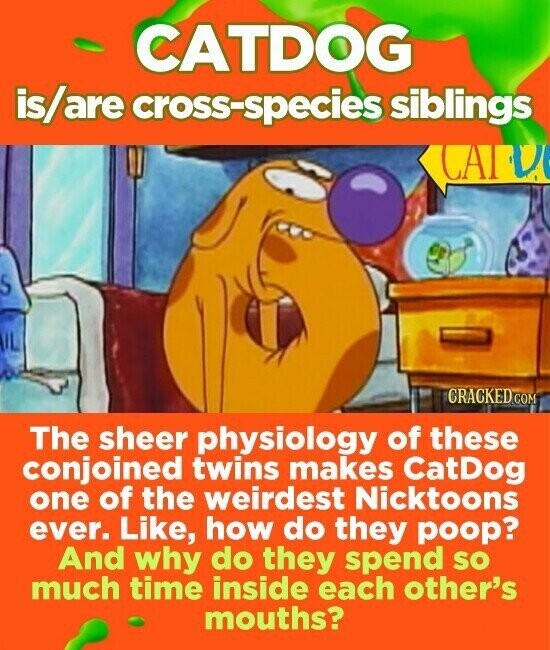 CATDOG is/are cross-species siblings CAID 5 CRACKED.COM The sheer physiology of these conjoined twins makes CatDog one of the weirdest Nicktoons ever. Like, how do they poop? And why do they spend so much time inside each other's mouths?