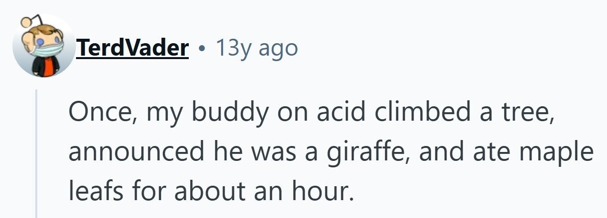 TerdVader . 13y ago climbed a tree, Once, my buddy on acid announced he was a giraffe, and ate maple leafs for about an hour. 