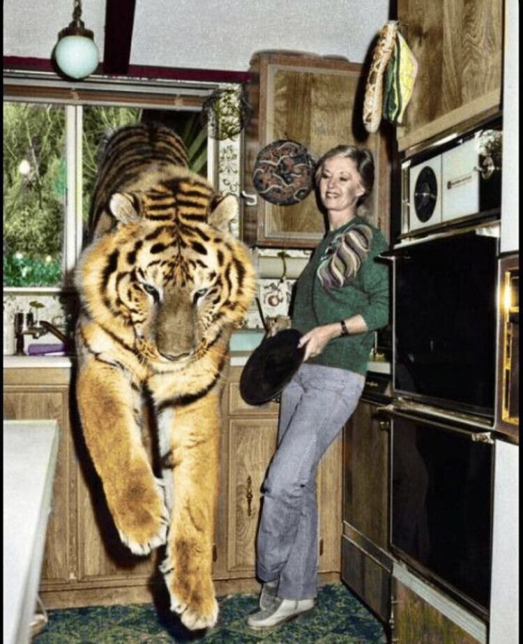 20 Photos Where Common Sense Was Left for Dead