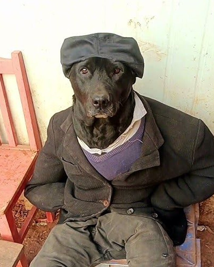 20 Photos Where Common Sense Was Left for Dead