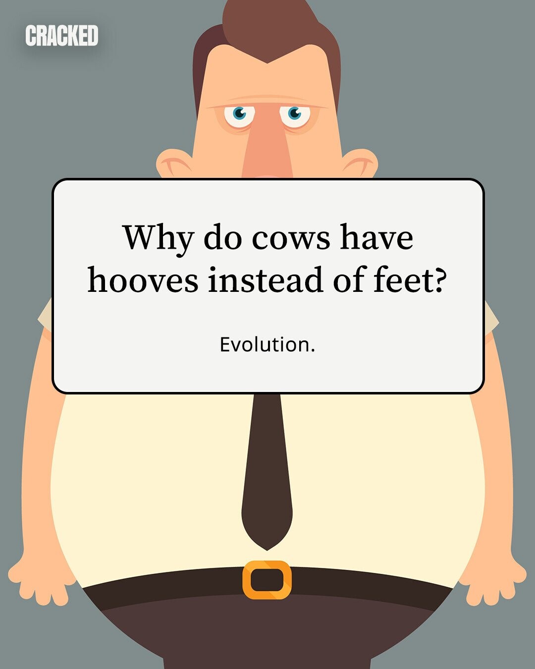 CRACKED Why do cows have hooves instead of feet? Evolution. 