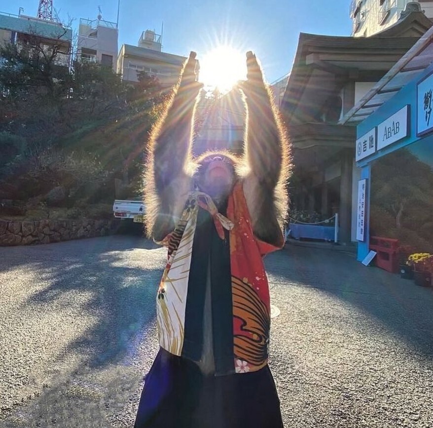 20 Photos Where Common Sense Was Left for Dead