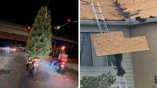 People Who Thought Things Were Fine, But They Weren't