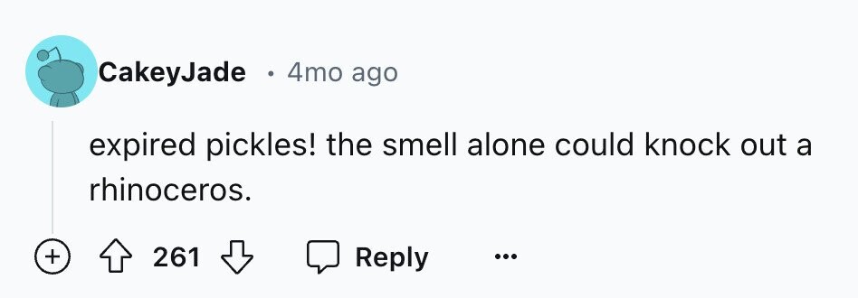 CakeyJade . 4mo ago expired pickles! the smell alone could knock out a rhinoceros. + 261 Reply ... 