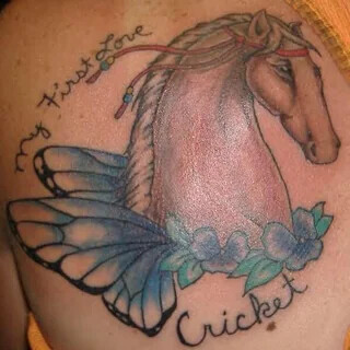 my First Love Cricket