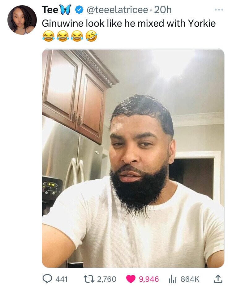 Tee @teeelatricee 20h Ginuwine look like he mixed with Yorkie 441 2,760 9,946 864K