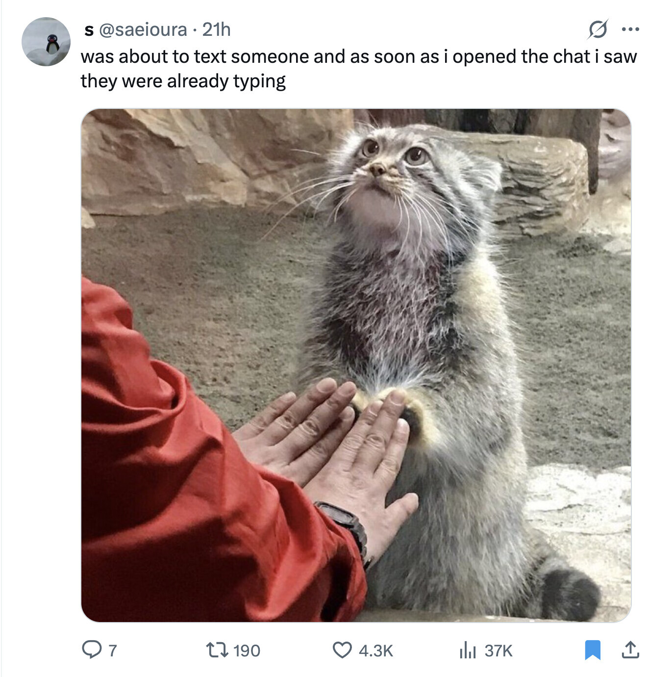 S @saeioura 21h S ... was about to text someone and as soon as i opened the chat i saw they were already typing 4.3K 7 190 del 37K