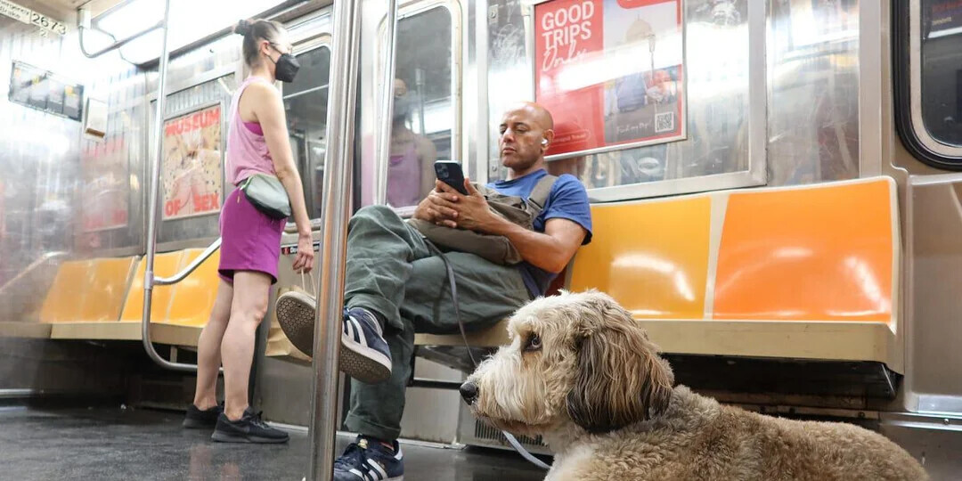 Subway Moments That Make You Consider Walking Instead