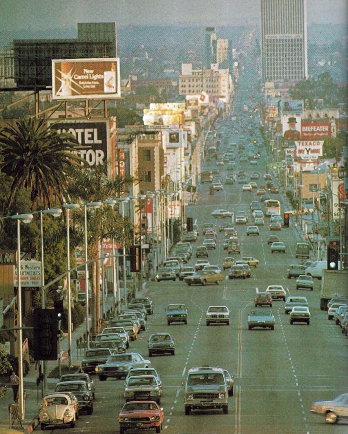 New Camel Lights Satisfaction Low Lac PARMONT BEEFEATER TEL - de TEXACO Mop MY YMORE TOR 3 in No EYE S SE fram L Western A ARTMENTS R RISHER SINGLES BILLES POOL VACANCY