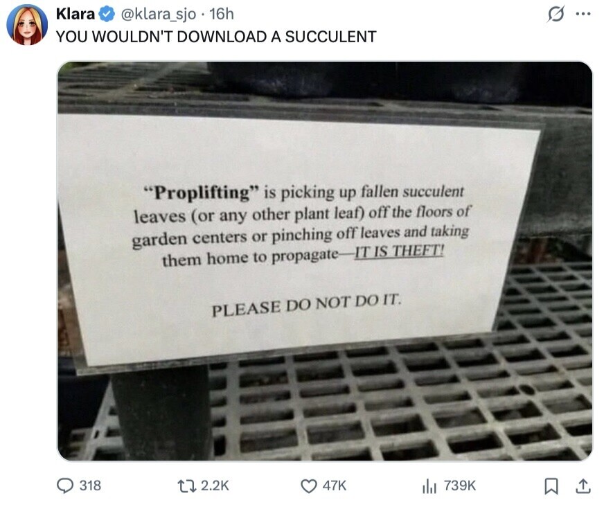 Klara G ... @klara_sjo 16h YOU WOULDN'T DOWNLOAD A SUCCULENT Proplifting is picking up fallen succulent leaves (or any other plant leaf) off the floors of garden centers or pinching off leaves and taking them home to propagate-IT IS THEFT! PLEASE DO NOT DO IT. 318 2.2K 47K 739K 