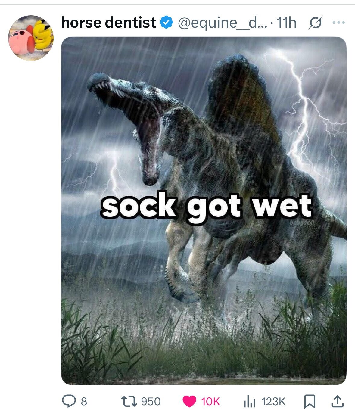 horse dentist @equine_di... 11h s ... sock got wet babydoll 950 8 123K 10K 