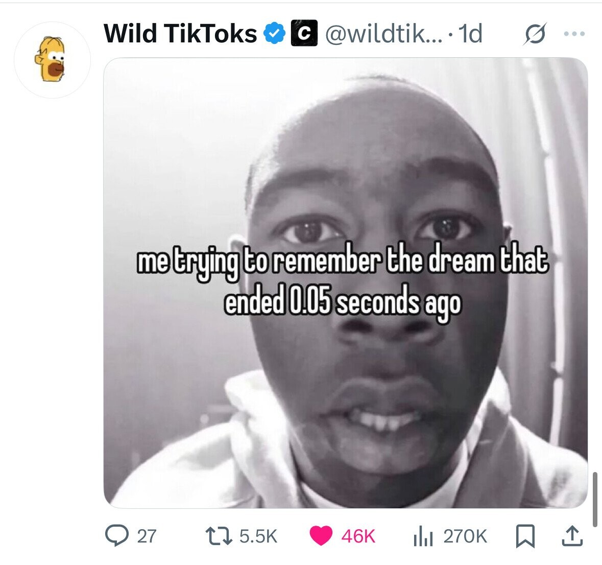 Wild TikToks с @wildtik... ...1d s ... me trying to remember the dream that ended 0.05 seconds ago 27 46K 5.5K del 270K 