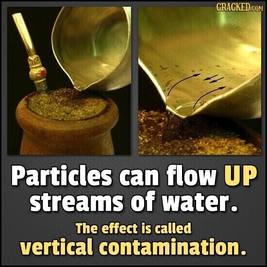 CRACKED.COM Particles can flow UP streams of water. The effect is called vertical contamination.