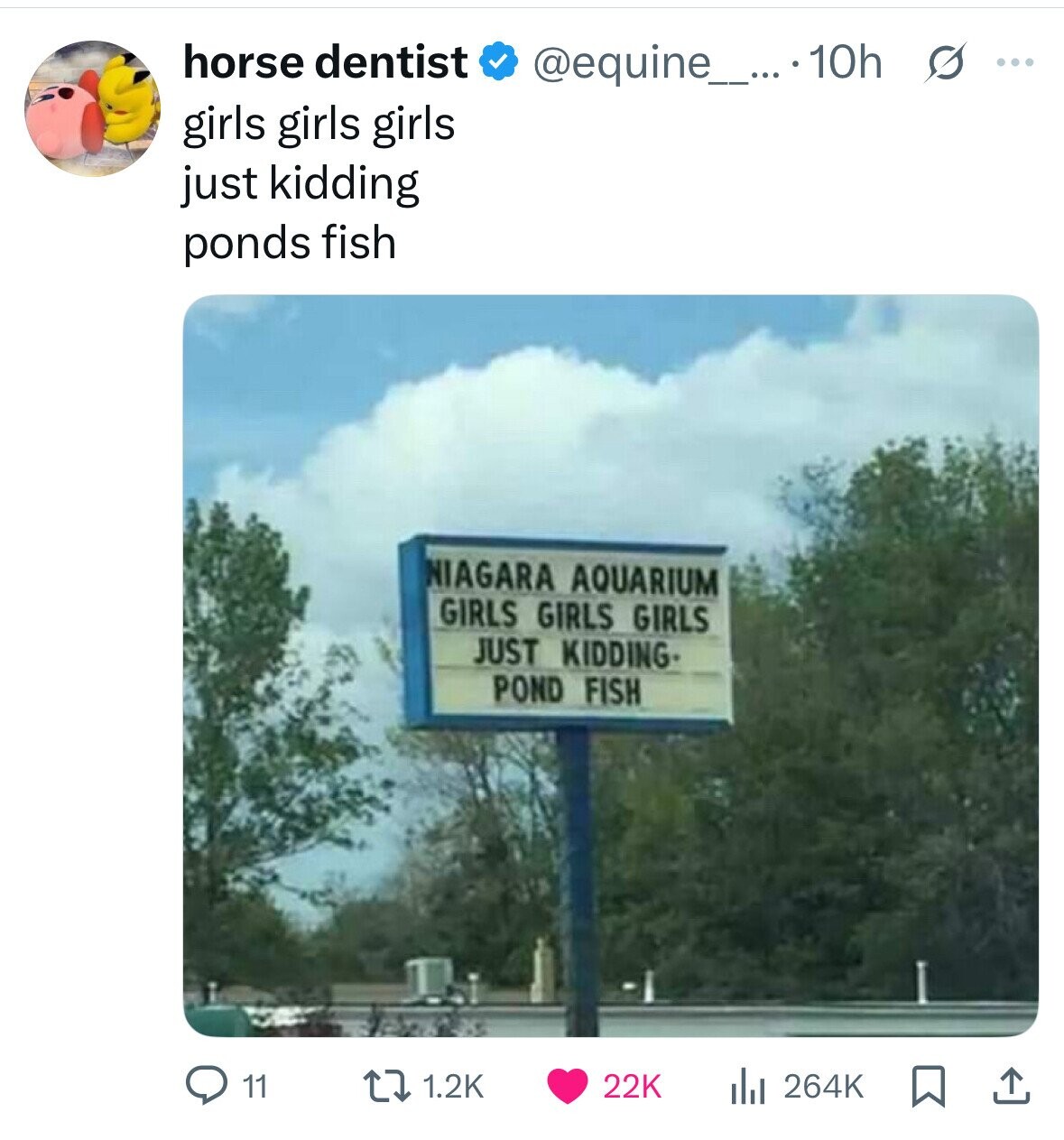 horse dentist @equine_....10h s ... girls girls girls just kidding ponds fish NIAGARA AQUARIUM GIRLS GIRLS GIRLS JUST KIDDING- POND FISH 11 1.2K 22K 264K 