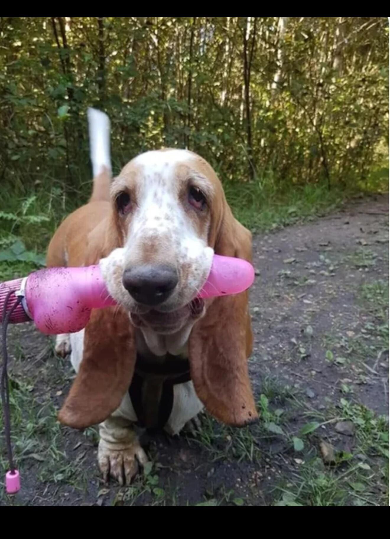 Embarrassing Photos of People Who Need an Alibi ASAP