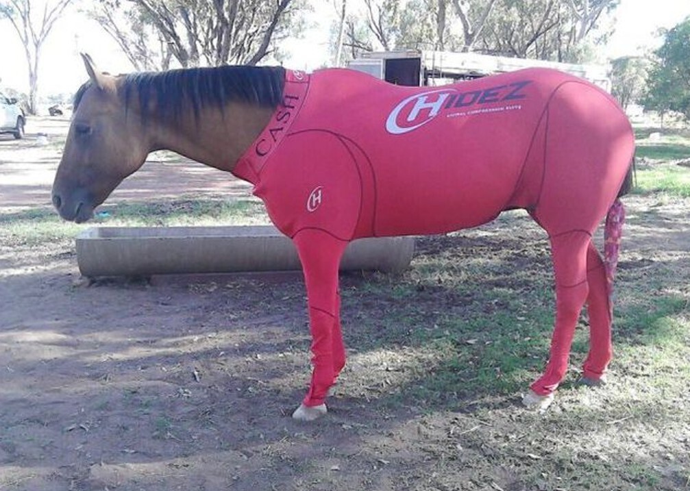 20 Photos Where Common Sense Was Left for Dead