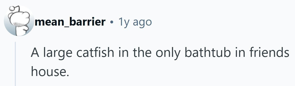 mean_barrier . 1y ago A large catfish in the only bathtub in friends house. 