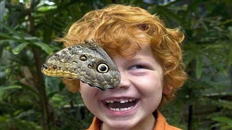 Photos That Stop Time In Its Tracks