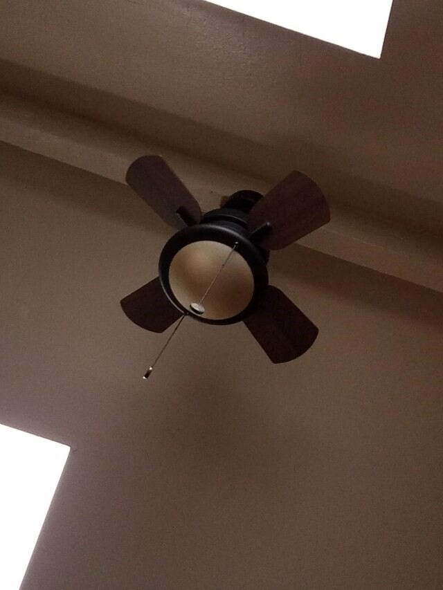 Photos Where an Eye Roll is Appropriate