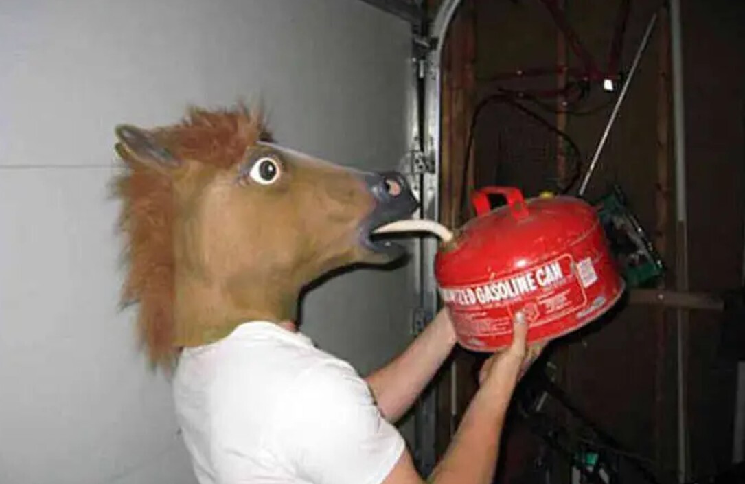 20 Photos Where Common Sense Was Left for Dead