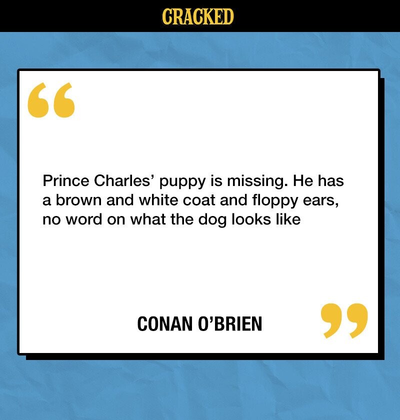 CRACKED Prince Charles' puppy is missing. Не has a brown and white coat and floppy ears, no word on what the dog looks like CONAN O'BRIEN 