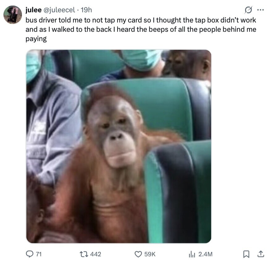 julee @juleecel 19h S ... bus driver told me to not tap my card so I thought the tap box didn't work and as I walked to the back I heard the beeps of all the people behind me paying 71 442 59K 2.4M 