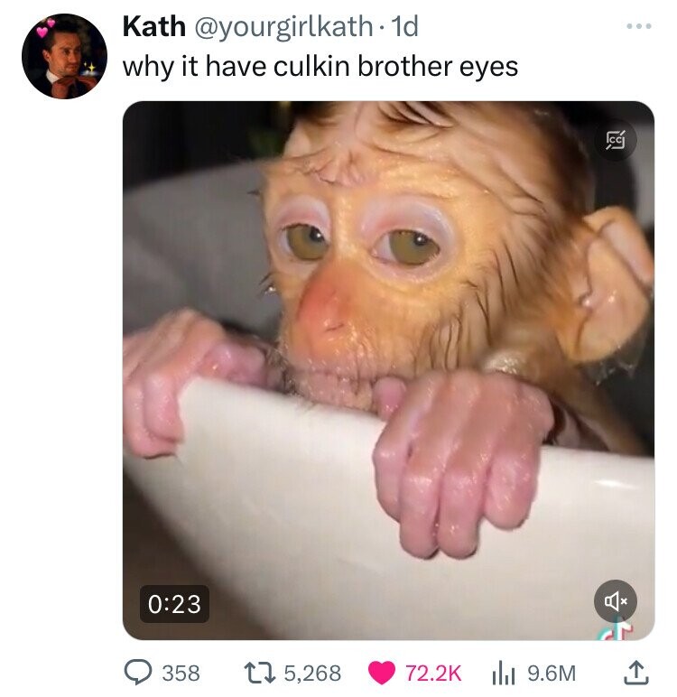 Kath @yourgirlkath 1d ... why it have culkin brother eyes CG 0:23 358 5,268 72.2K 9.6M