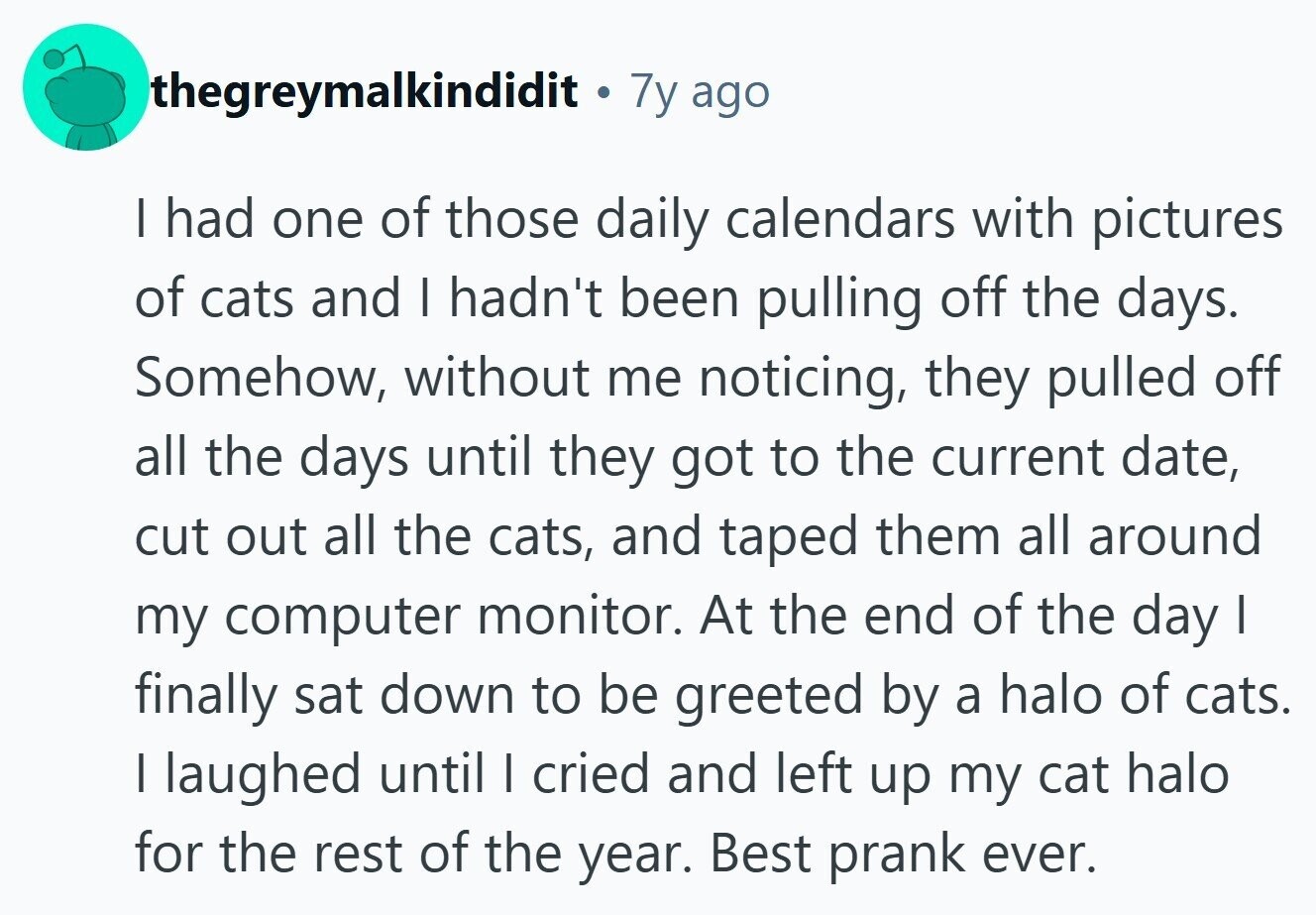 thegreymalkindidit 7y ago I had one of those daily calendars with pictures of cats and I hadn't been pulling off the days. Somehow, without me noticing, they pulled off all the days until they got to the current date, cut out all the cats, and taped them all around my computer monitor. At the end of the day I finally sat down to be greeted by a halo of cats. I laughed until I cried and left up my cat halo for the rest of the year. Best prank ever. 