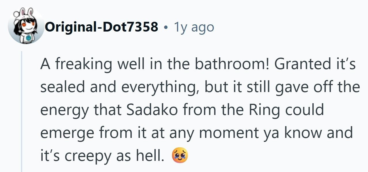 Original-Dot7358 . 1y ago A freaking well in the bathroom! Granted it's sealed and everything, but it still gave off the energy that Sadako from the Ring could emerge from it at any moment ya know and it's creepy as hell. 