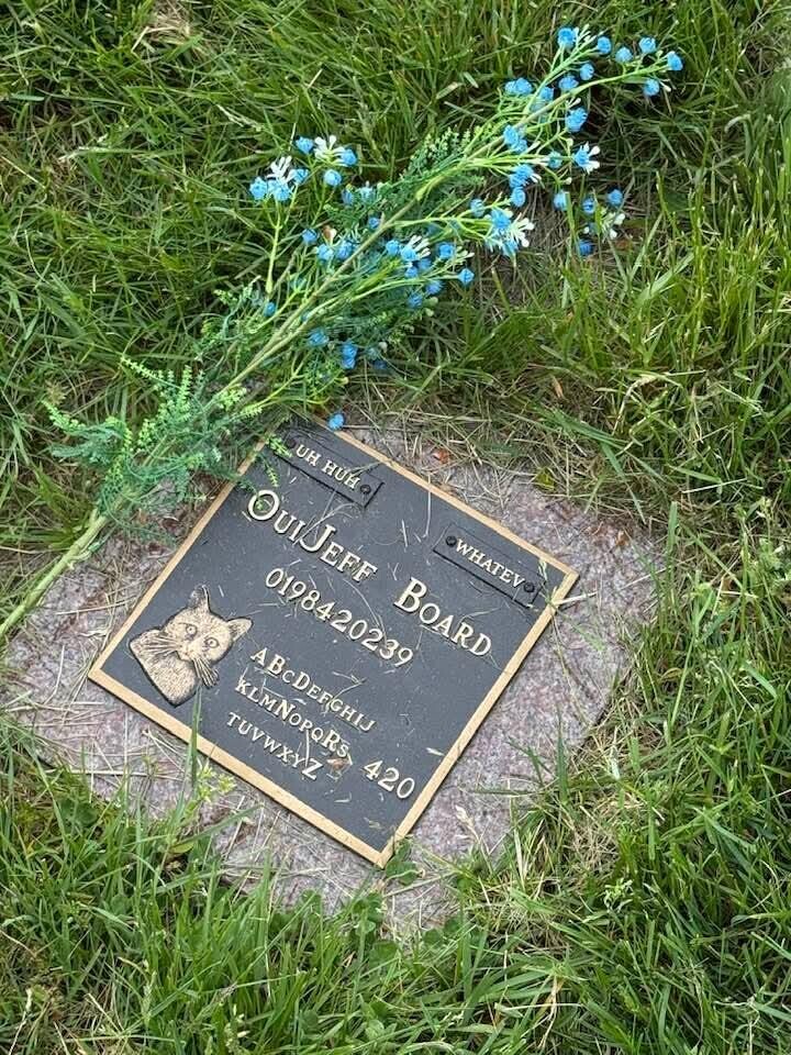 WHATEV UH HUH OUIJEFF BOARD 0198420239 ABcDerghiJ KLMNOPQRs 420 TUVWXYZ 