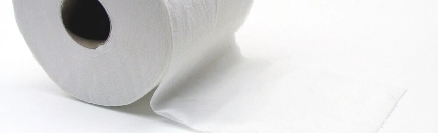 13 Historic Alternatives To Toilet Paper