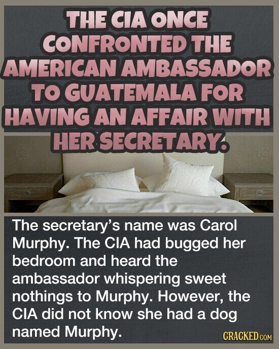 THE CIA ONCE CONFRONTED THE AMERICAN AMBASSADOR TO GUATEMALA FOR HAVING AN AFFAIR WITH HER SECRETARY. The secretary's name was Carol Murphy. The CIA had bugged her bedroom and heard the ambassador whispering sweet nothings to Murphy. However, the CIA did not know she had a dog named Murphy. CRACKED.COM