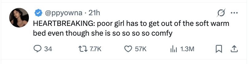 @ppyowna.21h ... HEARTBREAKING: poor girl has to get out of the soft warm bed even though she is so so so so comfy 34 7.7K 57K 1.3M