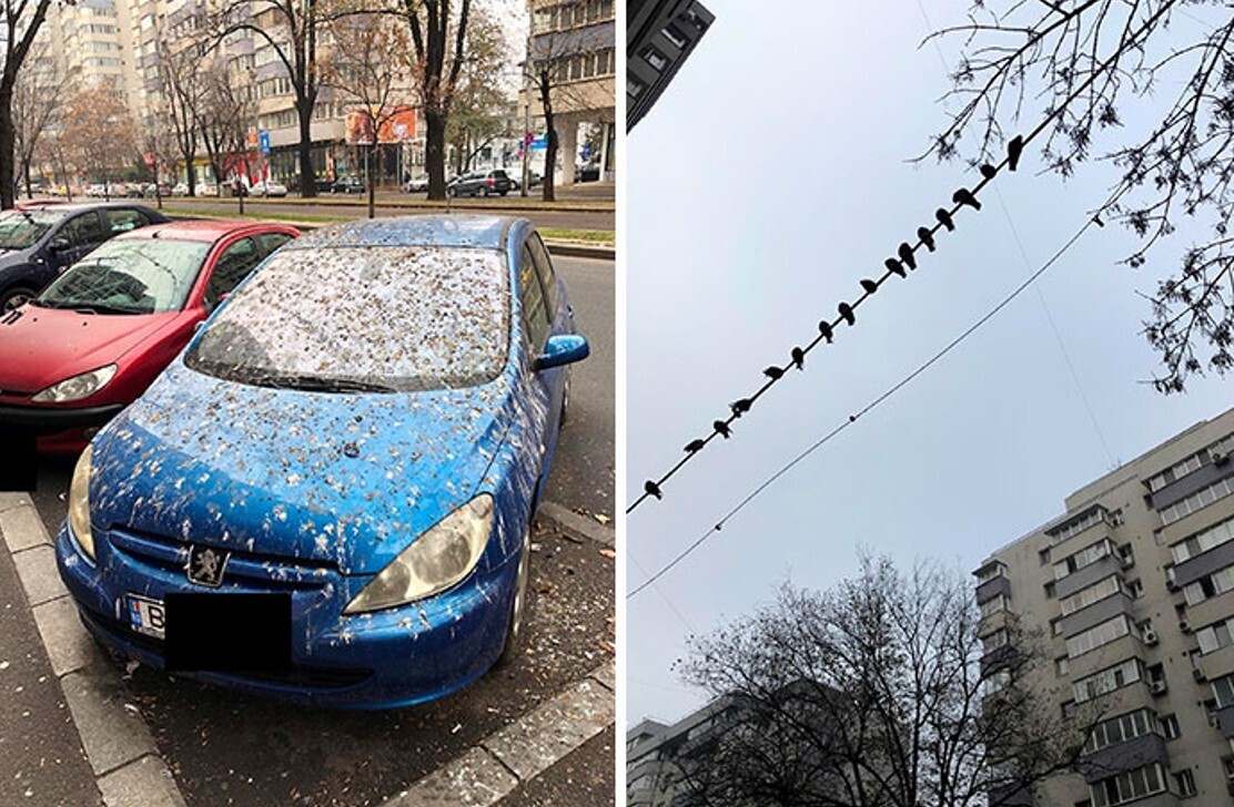 Photos Where an Eye Roll is Appropriate