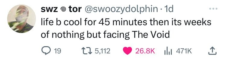 SWZ © tor @swoozydolphin 1d ... life b cool for 45 minutes then its weeks of nothing but facing The Void 19 5,112 26.8K del 471K