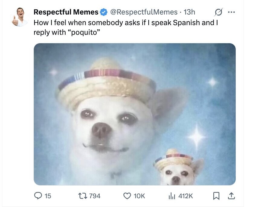 Respectful Memes s ... @RespectfulMemes . 1 13h How I feel when somebody asks if I speak Spanish and I reply with poquito 15 794 10K del 412K