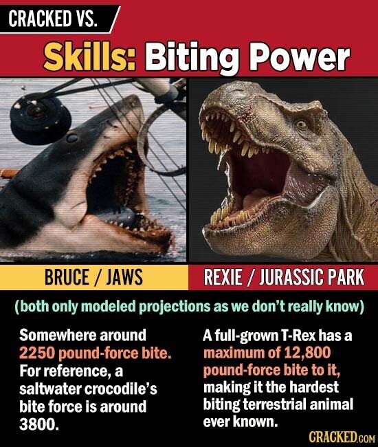 CRACKED VS. Skills: Biting Power BRUCE / JAWS REXIE JURASSIC PARK (both only modeled projections as we don't really know) Somewhere around A full-grown T-Rex has a 2250 pound-force bite. maximum of 12, 800 For reference, a pound-force bite to it, saltwater crocodile's making it the hardest bite force is around biting terrestrial animal 3800. ever known. CRACKED.COM
