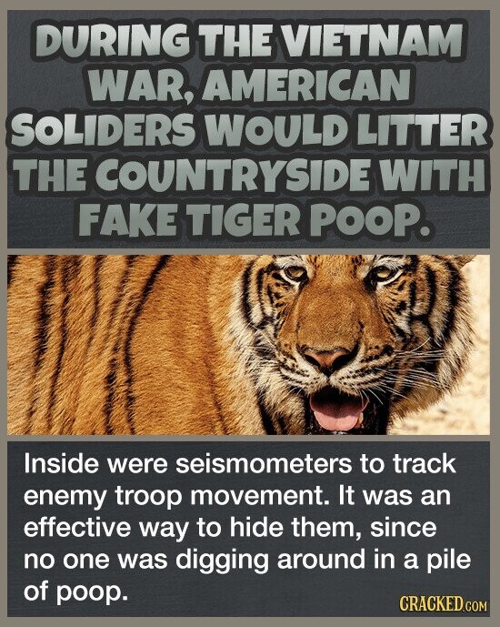 DURING THE VIETNAM WAR, AMERICAN SOLIDERS WOULD LITTER THE COUNTRYSIDE WITH FAKE TIGER POOP. Inside were seismometers to track enemy troop movement. It was an effective way to hide them, since no one was digging around in a pile of poop. CRACKED.COM