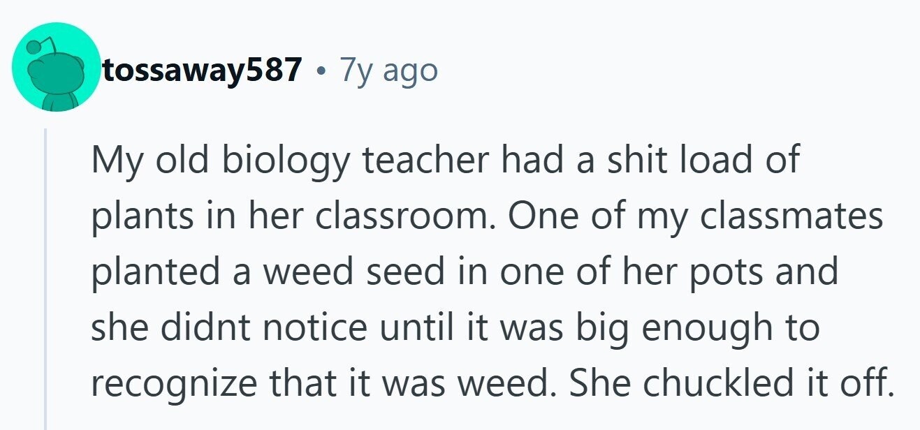 tossaway587 . 3 7y ago My old biology teacher had a shit load of plants in her classroom. One of my classmates planted a weed seed in one of her pots and she didnt notice until it was big enough to recognize that it was weed. She chuckled it off. 