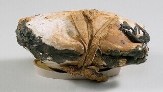 Lost Recipes of Ancient Civilization People Really Ate