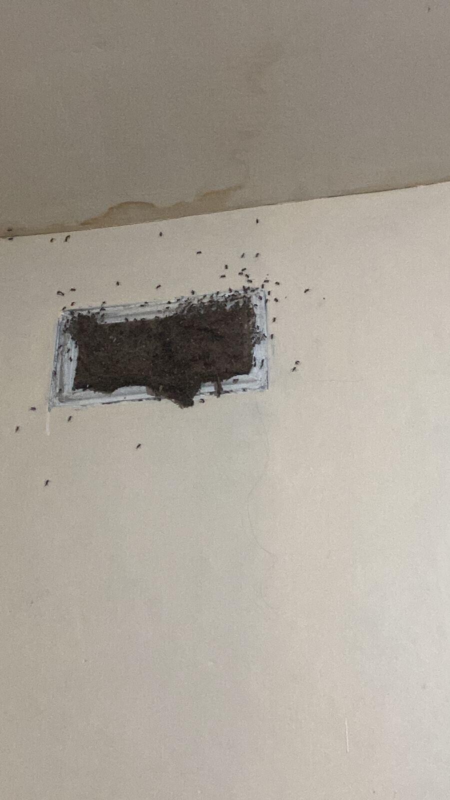 Photos Where the Moment of No Return Has Come and Gone