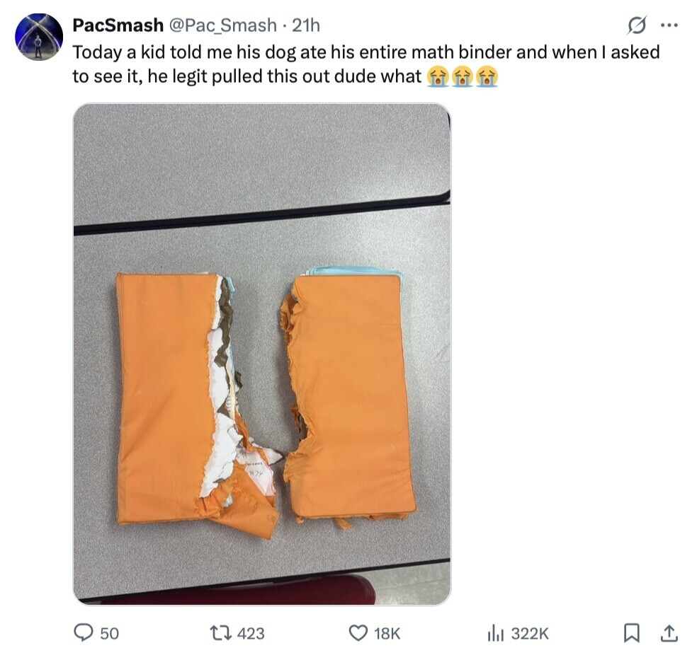 PacSmash @Pac_Smash . 21h O ... Today a kid told me his dog ate his entire math binder and when I asked to see it, he legit pulled this out dude what 50 423 18K 322K 