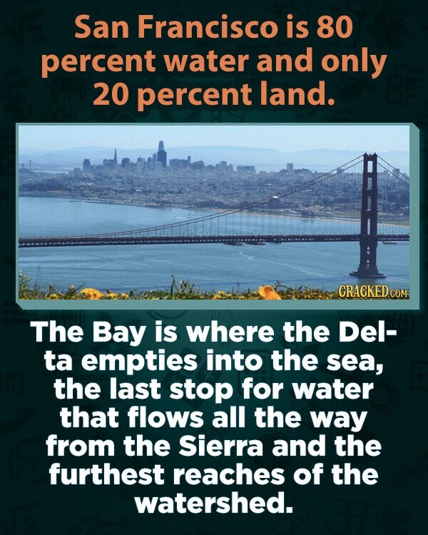 San Francisco is 80 percent water and only 20 percent land. CRACKED COM The Bay is where the Del- ta empties into the sea, the last stop for water that flows all the way from the Sierra and the furthest reaches of the watershed.