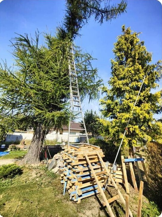 Photos Where Common Sense Turned the Other Cheek