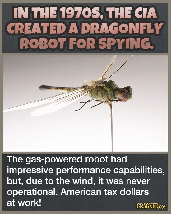 IN THE 1970S, THE CIA CREATED A DRAGONFLY ROBOT FOR SPYING. The gas-powered robot had impressive performance capabilities, but, due to the wind, it was never operational. American tax dollars at work! CRACKED.COM