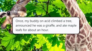 31 Wild Stories About Wild Parties