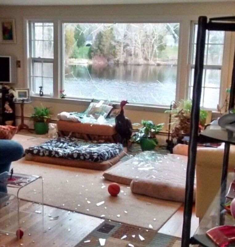 Photos Where an Eye Roll is Appropriate